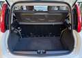 Fiat Panda new Panda III 1.2 Lounge 69cv E6 GPL prima vernice Weiß - thumbnail 20