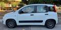 Fiat Panda new Panda III 1.2 Lounge 69cv E6 GPL prima vernice Weiß - thumbnail 7