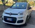 Fiat Panda new Panda III 1.2 Lounge 69cv E6 GPL prima vernice Bianco - thumbnail 3