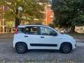 Fiat Panda new Panda III 1.2 Lounge 69cv E6 GPL prima vernice Weiß - thumbnail 8
