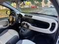 Fiat Panda new Panda III 1.2 Lounge 69cv E6 GPL prima vernice Wit - thumbnail 13