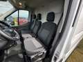 Ford Transit Kasten 350 L3H2 Trend | sofort verfügbar Weiß - thumbnail 7