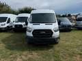 Ford Transit Kasten 350 L3H2 Trend | sofort verfügbar Weiß - thumbnail 2
