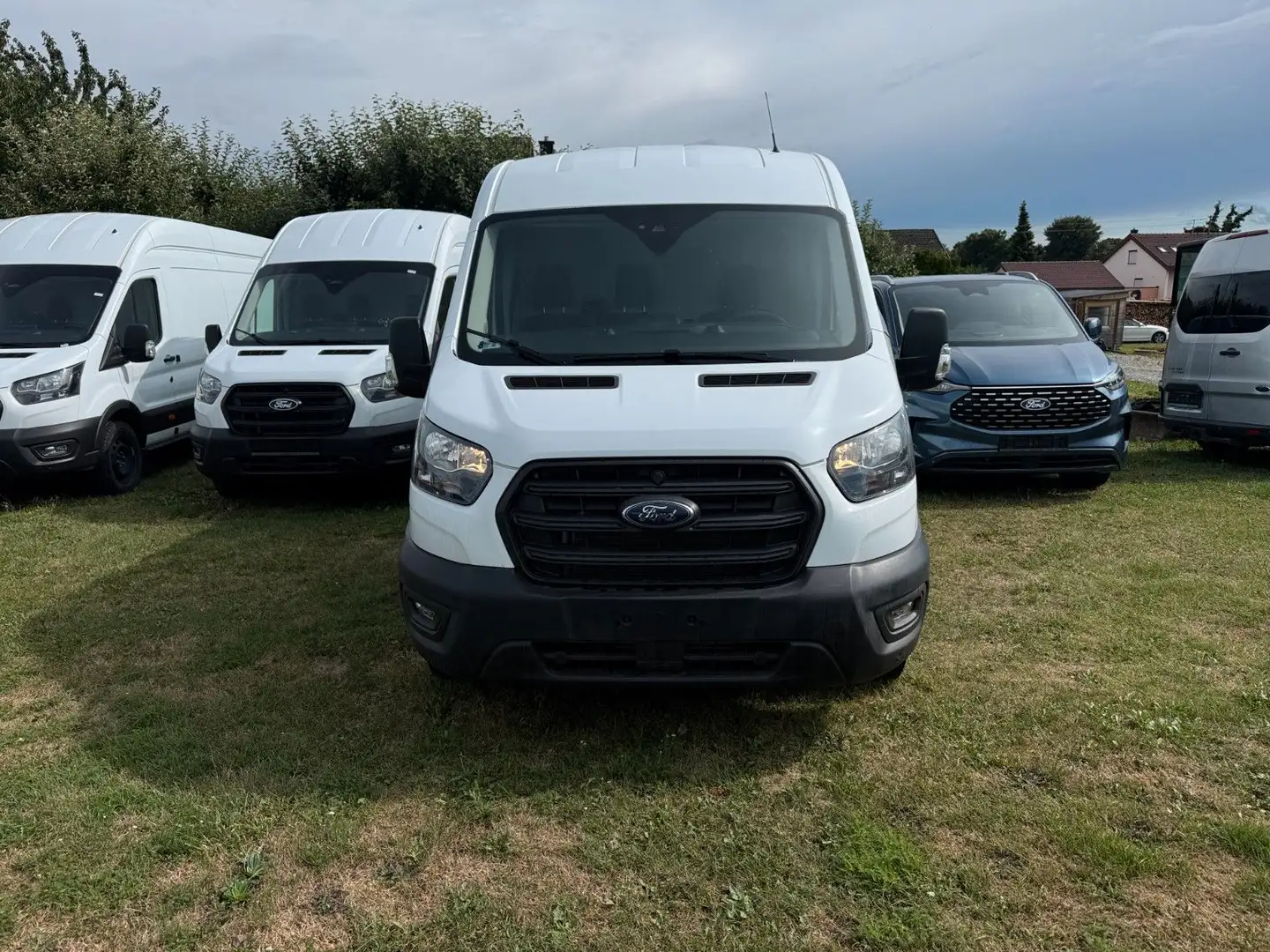 Ford Transit Kasten 350 L3H2 Trend | sofort verfügbar Weiß - 2
