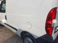Fiat Doblo 1.6mjt 105cv ATTREZZATO Anno 2022 Blanc - thumbnail 7