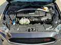 Ford Mustang Convertible 5.0 V8 aut. GT 10 MARCE – CALIFORNIA S Grigio - thumbnail 10