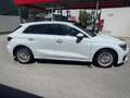 Audi A3 A3 SB 30 TDI intense intense Weiß - thumbnail 2