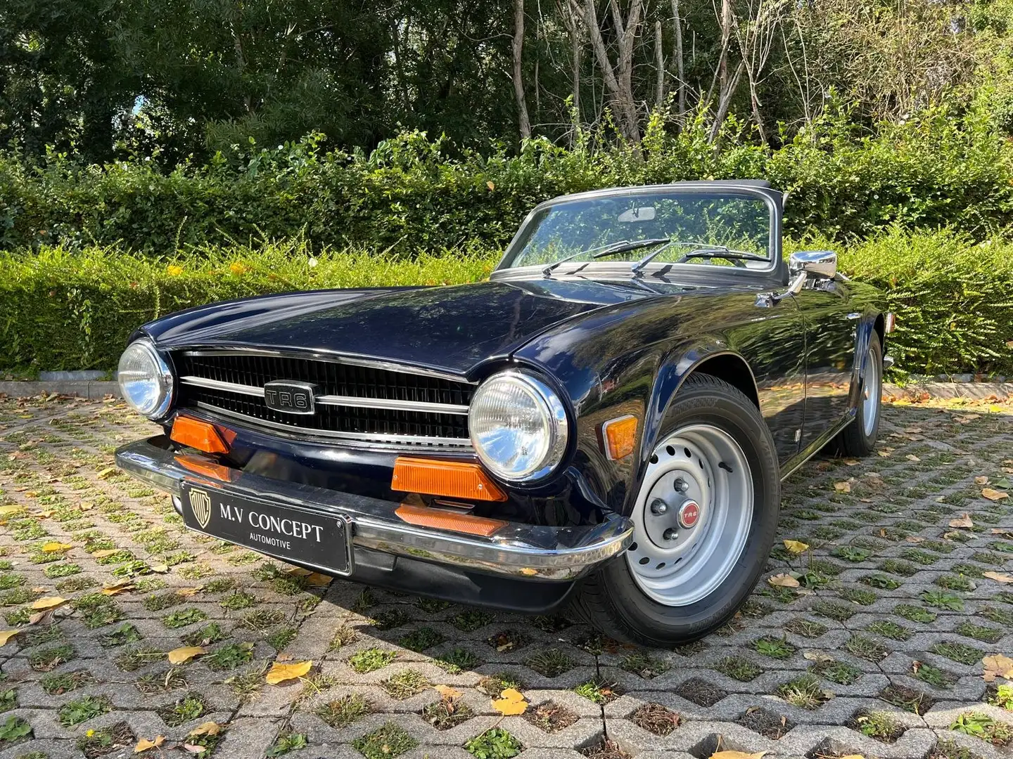 Triumph TR6 Restauration complète Bleu - 1