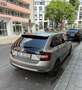 Skoda Rapid/Spaceback Clever Beige - thumbnail 2