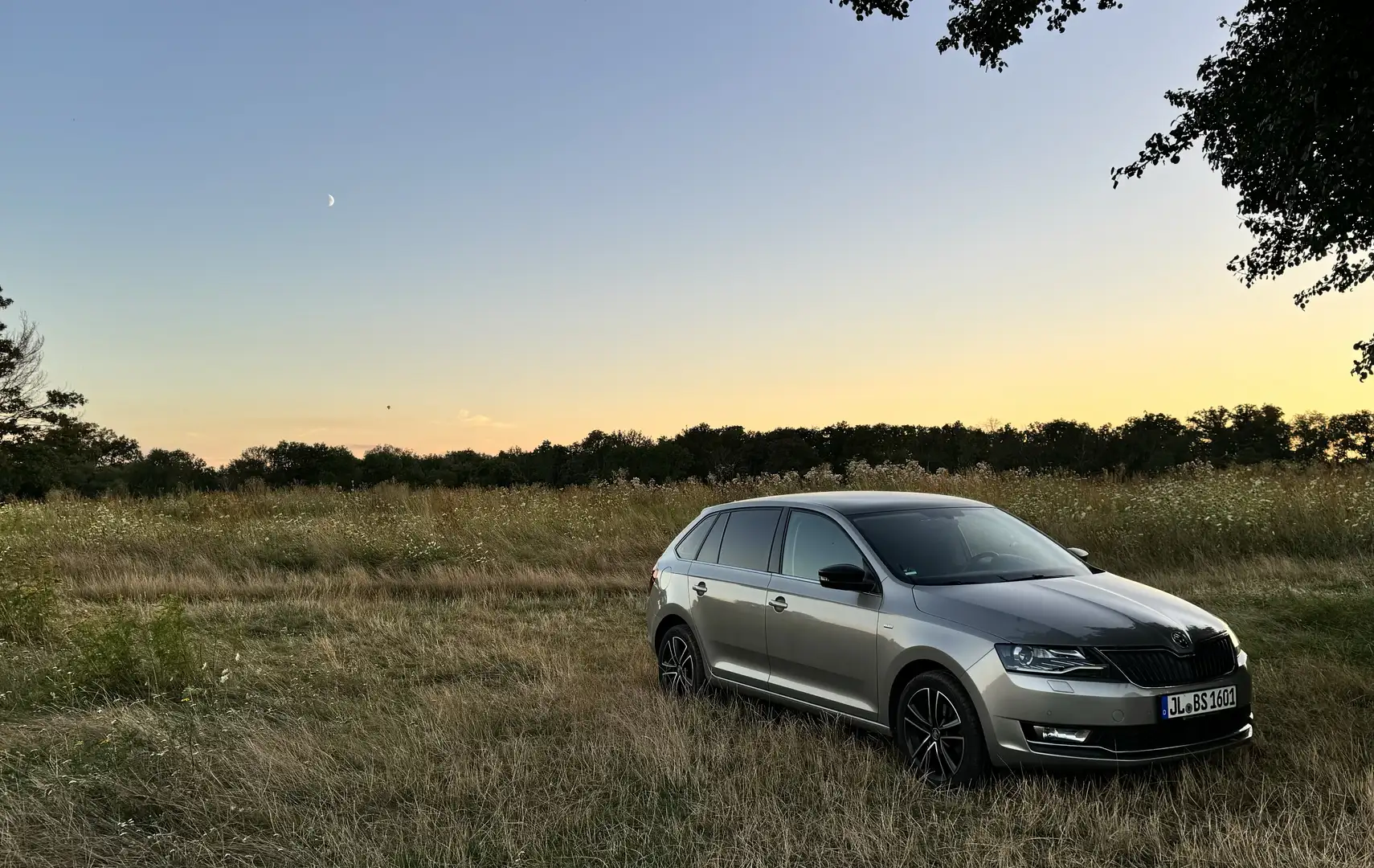 Skoda Rapid/Spaceback Clever Beige - 1