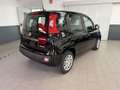 Fiat Panda Panda 1.0 FireFly S&S Hybrid Neopatentati Nero - thumbnail 6