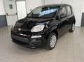 Fiat Panda Panda 1.0 FireFly S&S Hybrid Neopatentati Nero - thumbnail 2
