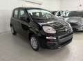 Fiat Panda Panda 1.0 FireFly S&S Hybrid Neopatentati Nero - thumbnail 1