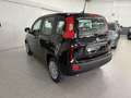 Fiat Panda Panda 1.0 FireFly S&S Hybrid Neopatentati Nero - thumbnail 5