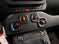 Fiat Panda Panda 1.0 FireFly S&S Hybrid Neopatentati Nero - thumbnail 11