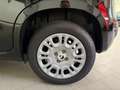 Fiat Panda Panda 1.0 FireFly S&S Hybrid Neopatentati Nero - thumbnail 14
