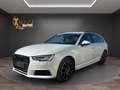 Audi A4 2,0 TDI Quattro*LED*AHK*Klima*SZH*PDC*AU/HU neu* Wit - thumbnail 1