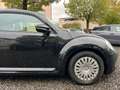 Volkswagen Beetle 1.2 TSI BMT PDC Klima Tüv Neu Schwarz - thumbnail 9