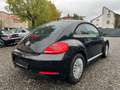 Volkswagen Beetle 1.2 TSI BMT PDC Klima Tüv Neu Schwarz - thumbnail 7