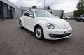 Volkswagen Beetle Lim. Design Weiß - thumbnail 3