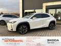 Lexus UX 250h UX 250 h *Kamera*Sitzh.*Klimaaut.*Digi.Tacho* Weiß - thumbnail 1
