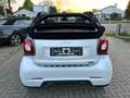 smart forTwo Cabrio Brabus Xclusive 109PS-LED-NAVI-KAM-JBL Weiß - thumbnail 20