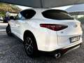 Alfa Romeo Stelvio 2.2 t Executive Q4 210cv STRAFULL - thumbnail 6