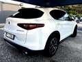 Alfa Romeo Stelvio 2.2 t Executive Q4 210cv STRAFULL - thumbnail 8
