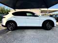 Alfa Romeo Stelvio 2.2 t Executive Q4 210cv STRAFULL - thumbnail 5