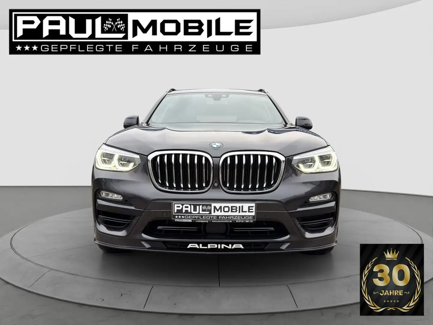Alpina XD3 HuD LED ACC Panorama Apple Virtual 360° AHK Grau - 2