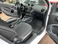 smart forTwo fortwo passion TWINAMIC*PANO*Cool & Audio*SHZ Weiß - thumbnail 17