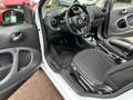 smart forTwo fortwo passion TWINAMIC*PANO*Cool & Audio*SHZ Weiß - thumbnail 16