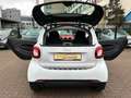 smart forTwo fortwo passion TWINAMIC*PANO*Cool & Audio*SHZ Weiß - thumbnail 23
