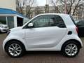 smart forTwo fortwo passion TWINAMIC*PANO*Cool & Audio*SHZ Weiß - thumbnail 2