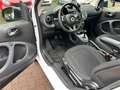 smart forTwo fortwo passion TWINAMIC*PANO*Cool & Audio*SHZ Weiß - thumbnail 4