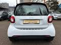 smart forTwo fortwo passion TWINAMIC*PANO*Cool & Audio*SHZ Weiß - thumbnail 19