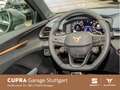 CUPRA Terramar VZ 2.0 TSI DSG 195 kW Negru - thumbnail 10