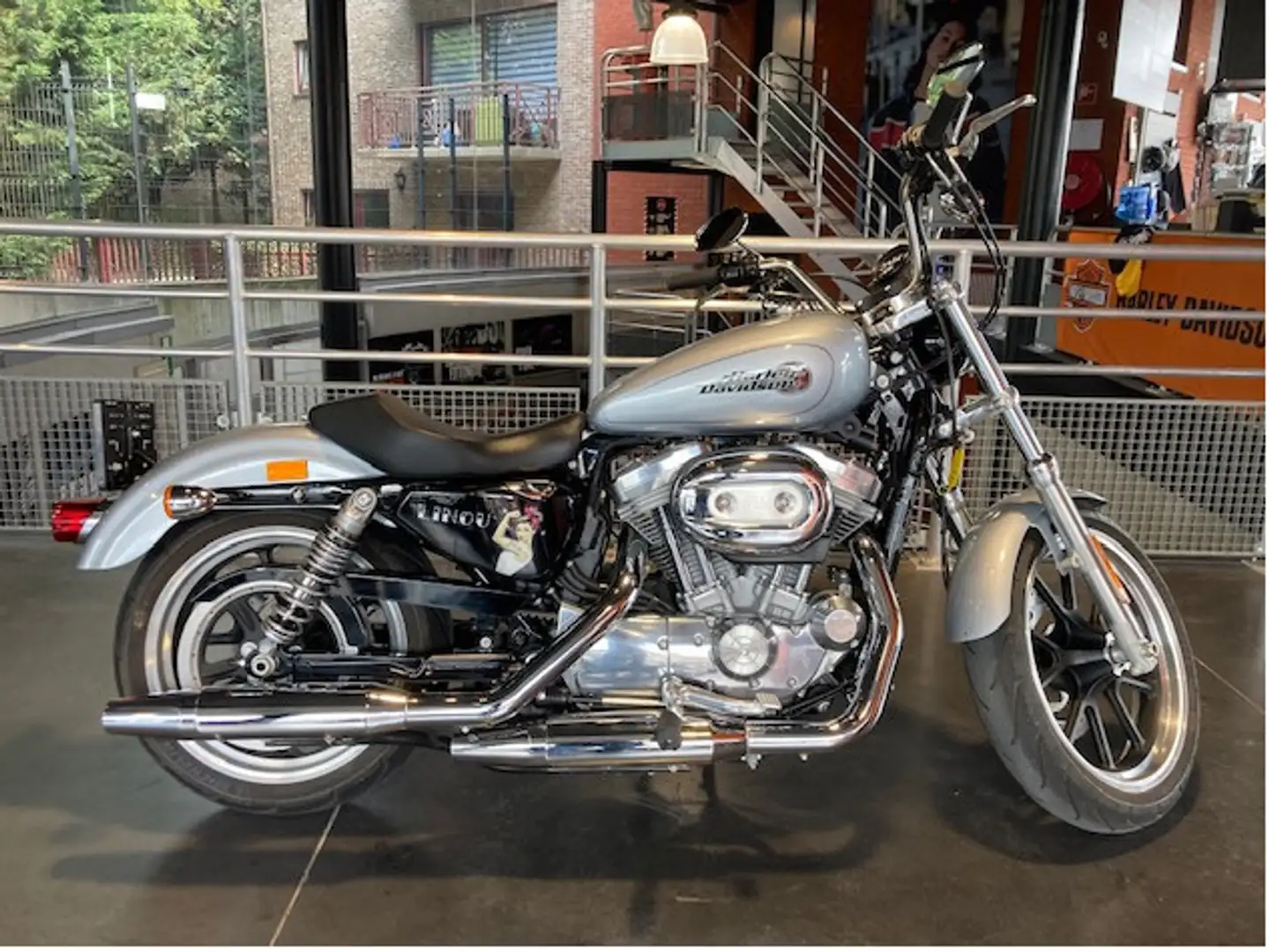 Harley-Davidson Sportster 883 LOW Argintiu - 1