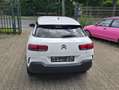 Citroen C4 Cactus Shine,Touch Navi,Euro 6. Biały - thumbnail 15