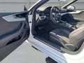 Audi A5 Cabriolet 45 TFSI quattro S tronic S line El. Verd Weiß - thumbnail 10