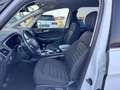 Ford Galaxy 2,0 EcoBlue SCR Titanium Weiß - thumbnail 9