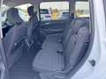 Ford Galaxy 2,0 EcoBlue SCR Titanium Weiß - thumbnail 10