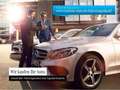 Mercedes-Benz T-Class Progressive Dachreling Navi Parkpaket Grau - thumbnail 21