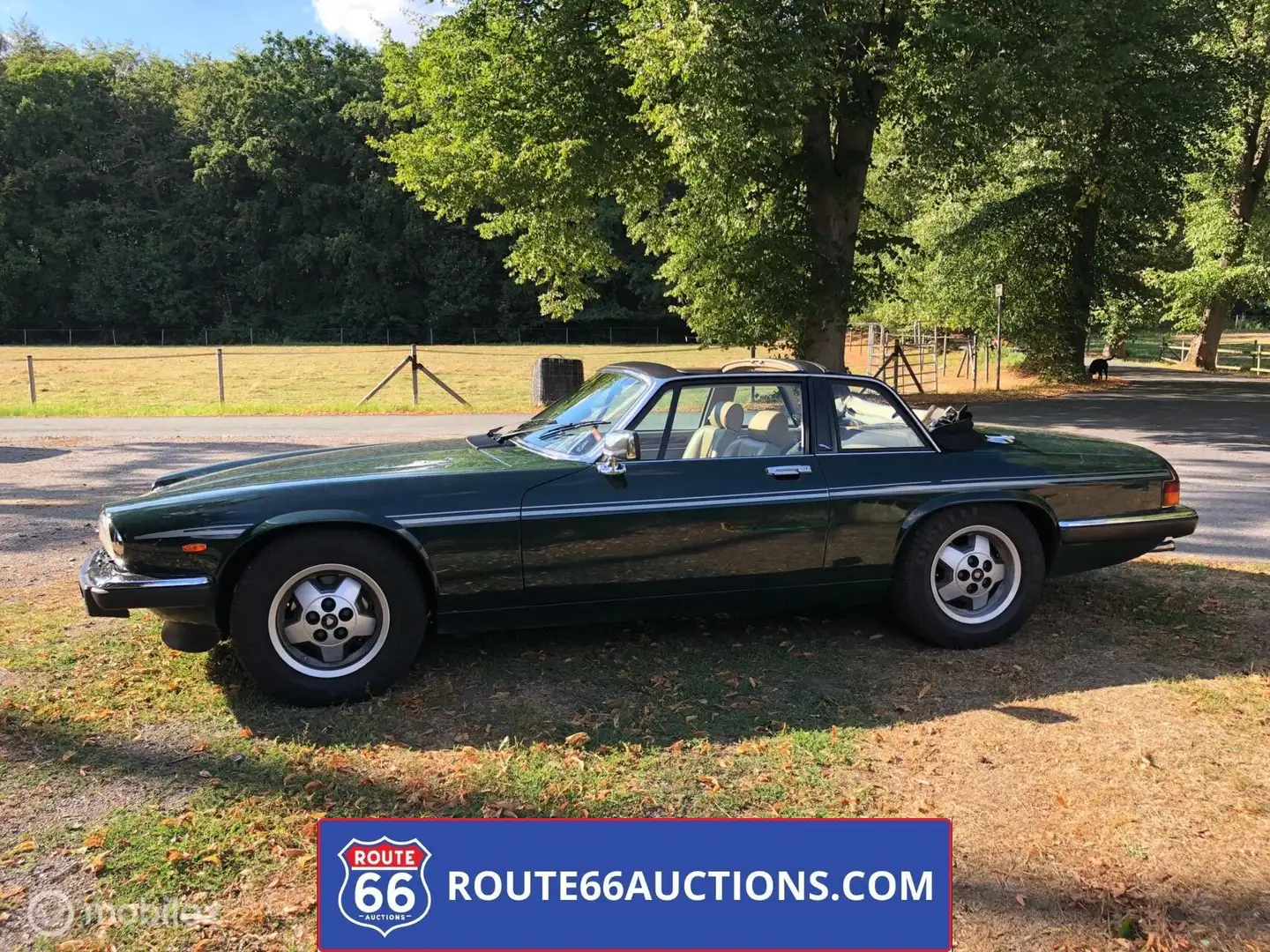 Jaguar XJSC Cabriolet | Route 66 Auctions Green - 1