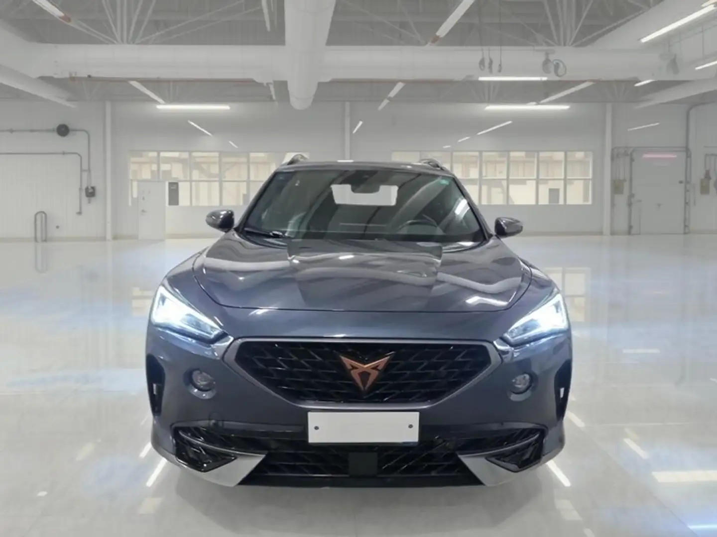 CUPRA Formentor 2.0 TDI SUV - 2