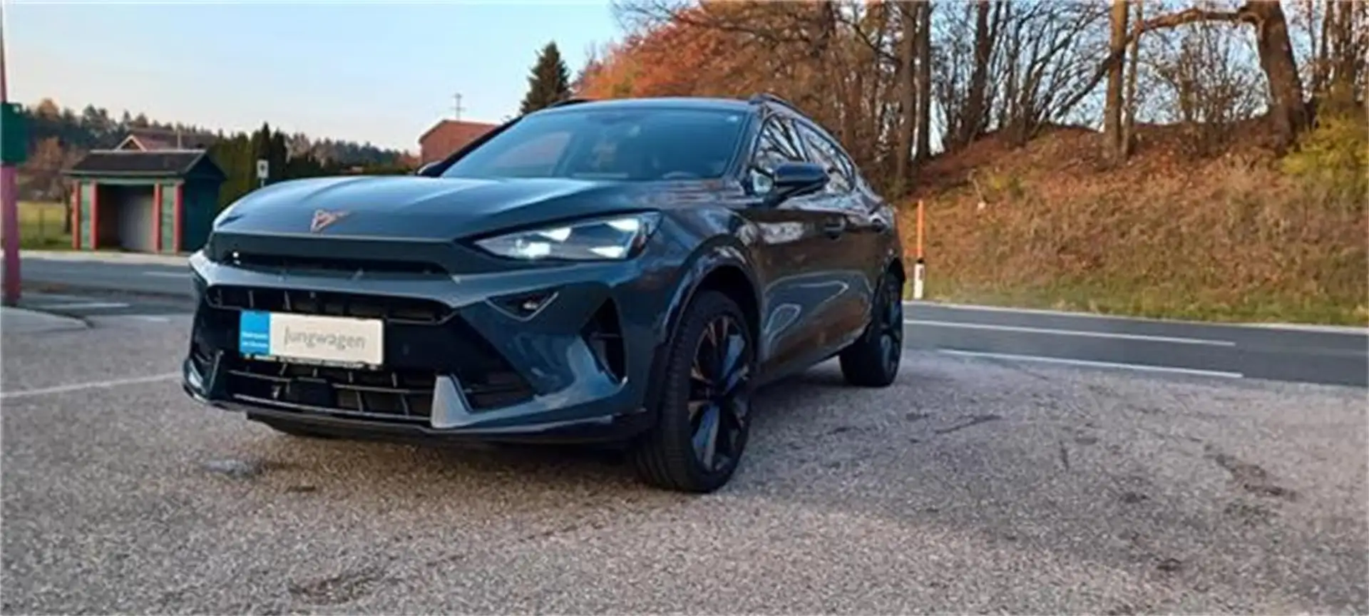 CUPRA Formentor 2,0 TDI  DSG Blau - 1