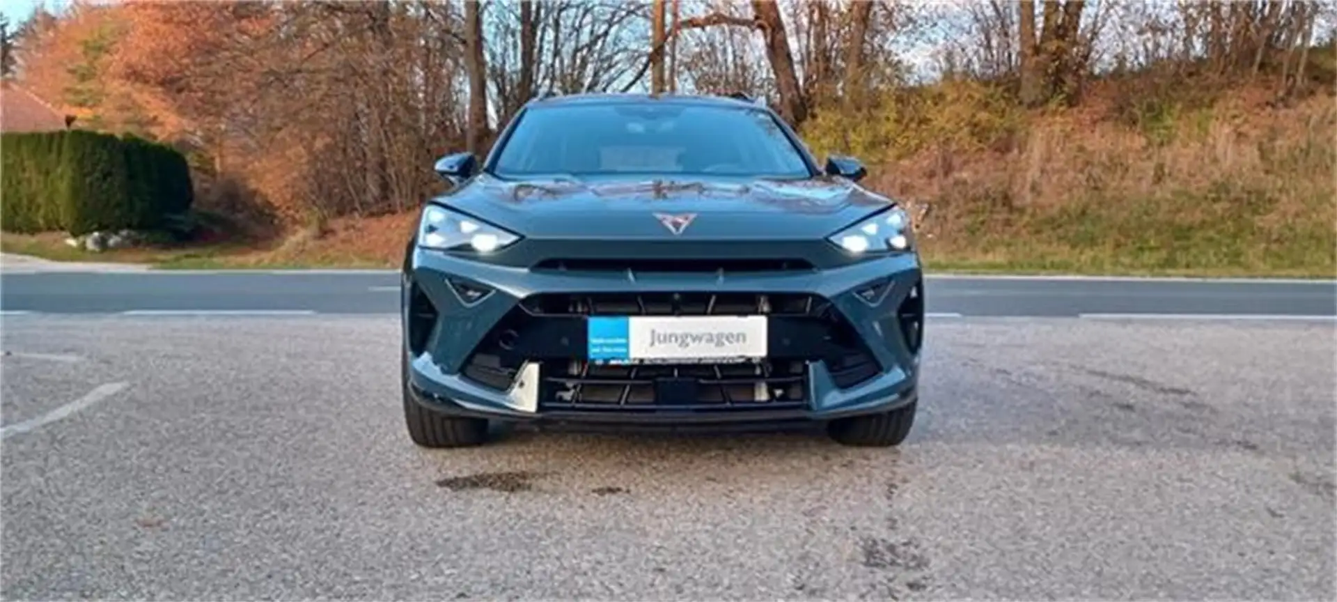 CUPRA Formentor 2,0 TDI  DSG Blau - 2