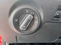 SEAT Ibiza Style 1.0 TGI CNG Erdgas FULL LINK SHZ GRA ... Rot - thumbnail 20