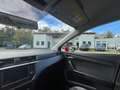 SEAT Ibiza Style 1.0 TGI CNG Erdgas FULL LINK SHZ GRA ... Rot - thumbnail 21