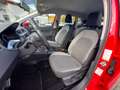 SEAT Ibiza Style 1.0 TGI CNG Erdgas FULL LINK SHZ GRA ... Rot - thumbnail 8